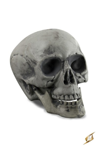 Human Skull