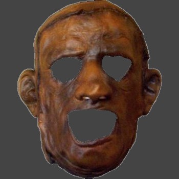 Leather Skin Face Mask