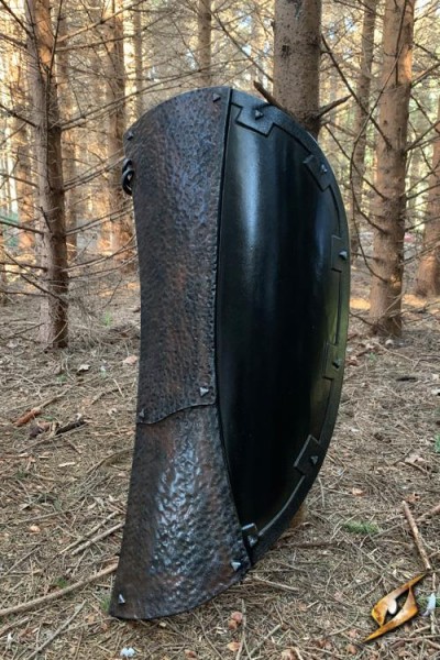 Rusted Raider Shield