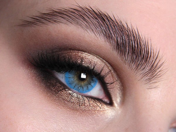 Buckingham Blue Lenses