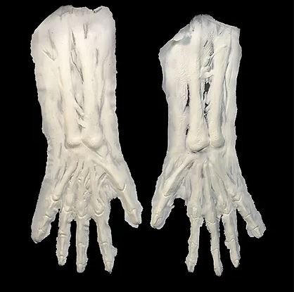 Skeleton Arms Foam Prosthetics