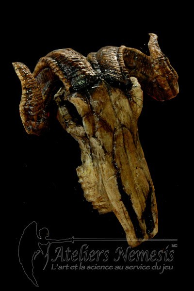 Goat Skull