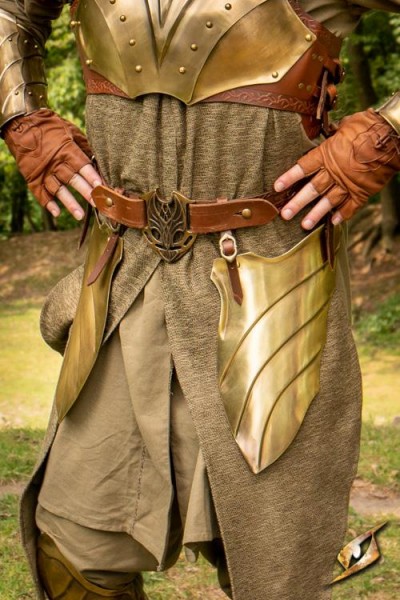 Illumine Belt Shields