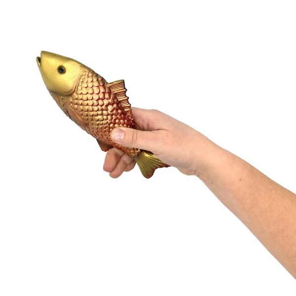 Minnow Fish