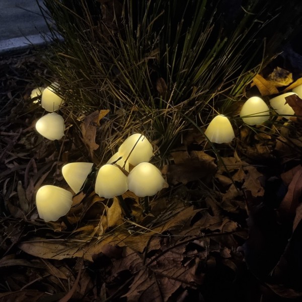 Mushroom Lights