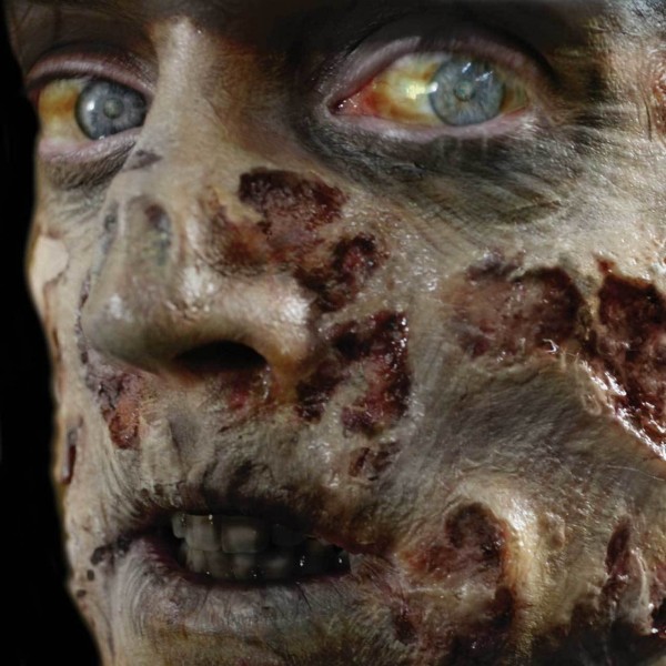 Zombie Flesh 3D FX Transfers