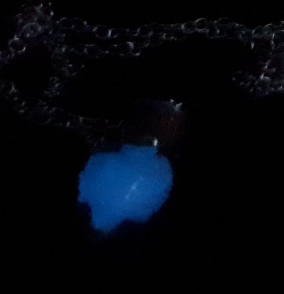 Pixie&#039;s Glowing Necklace
