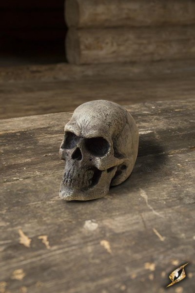 Small Skull