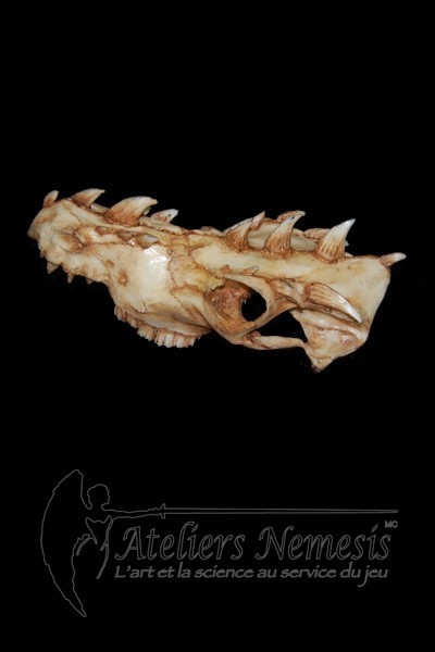 Dragon Skull