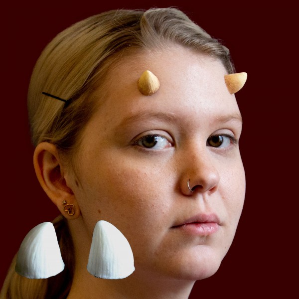 Small Horns - Type C