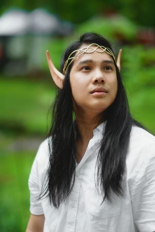 Royal Fae Ears