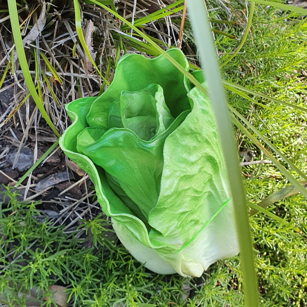 Green Leafy Vegetables