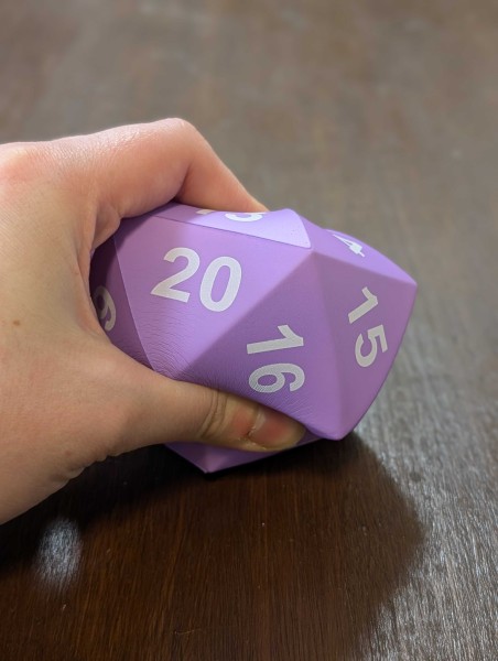 Giant Squishy D20