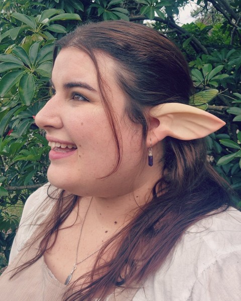 Kelpie ears