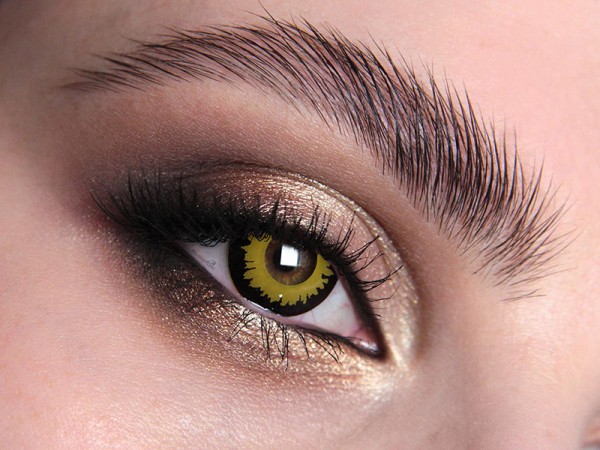 Wolf Lenses