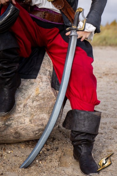 Curved Sabre