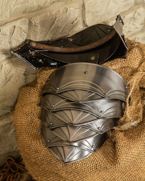 Dragomir Spaulders