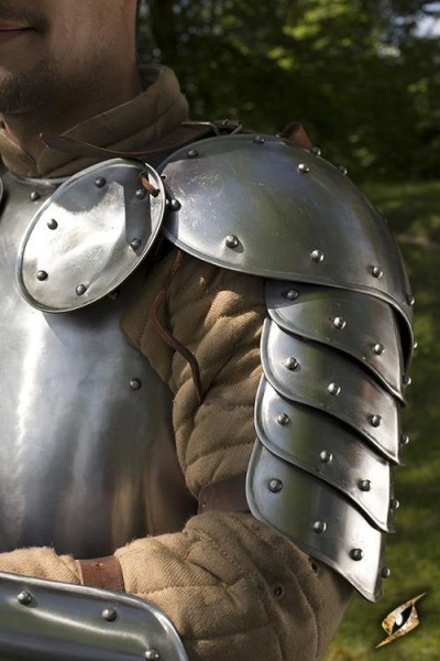 Warrior Shoulder - Shiny