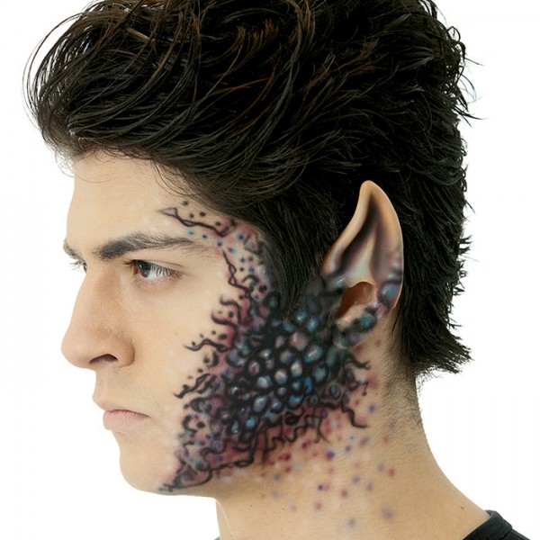 Space Ear Tips